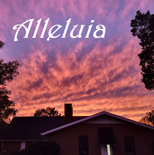 Alleluia in Time of Sorrow - Column Nov. 2022